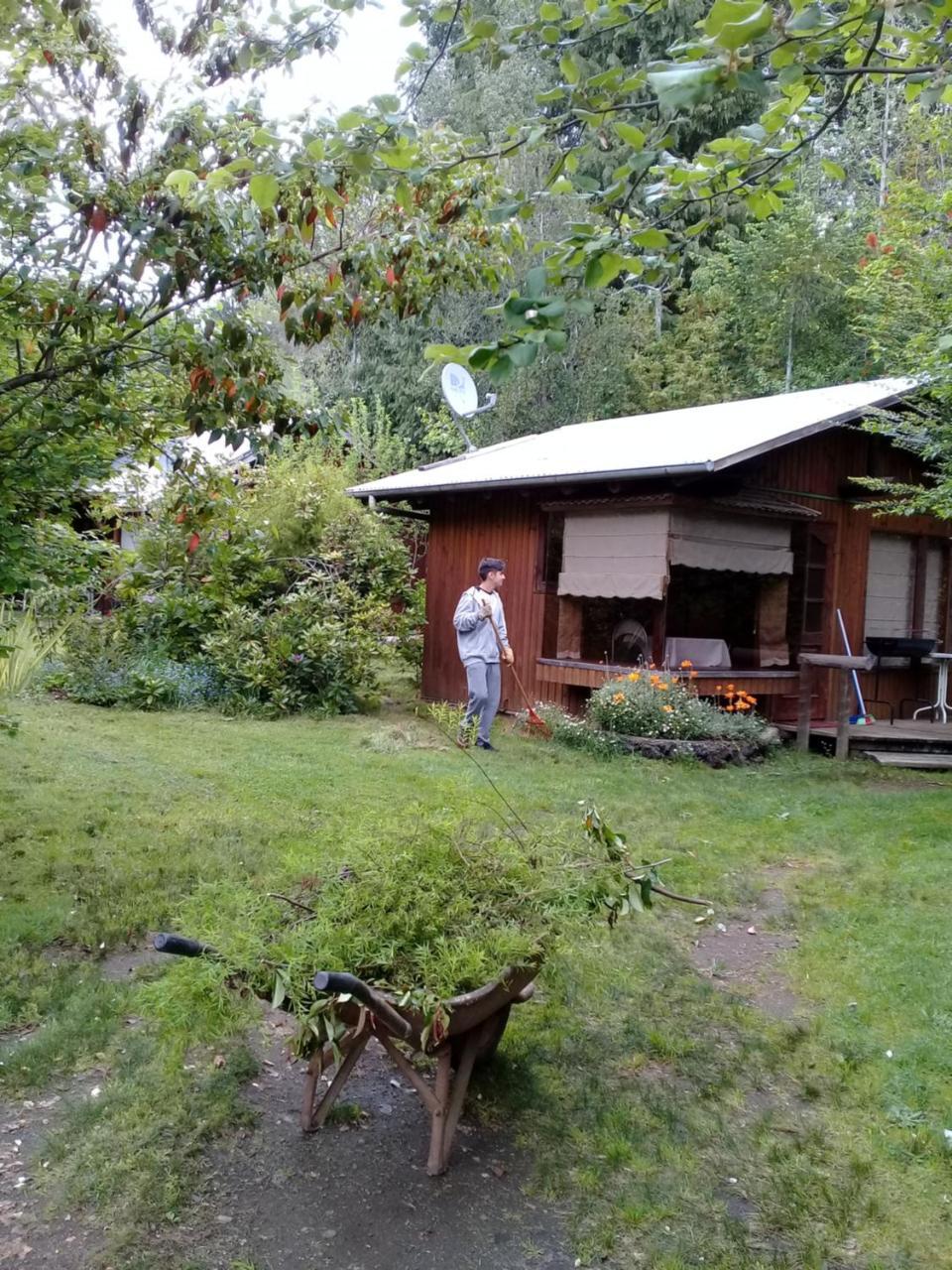 Cabanas El Cipres Pucón Exterior foto