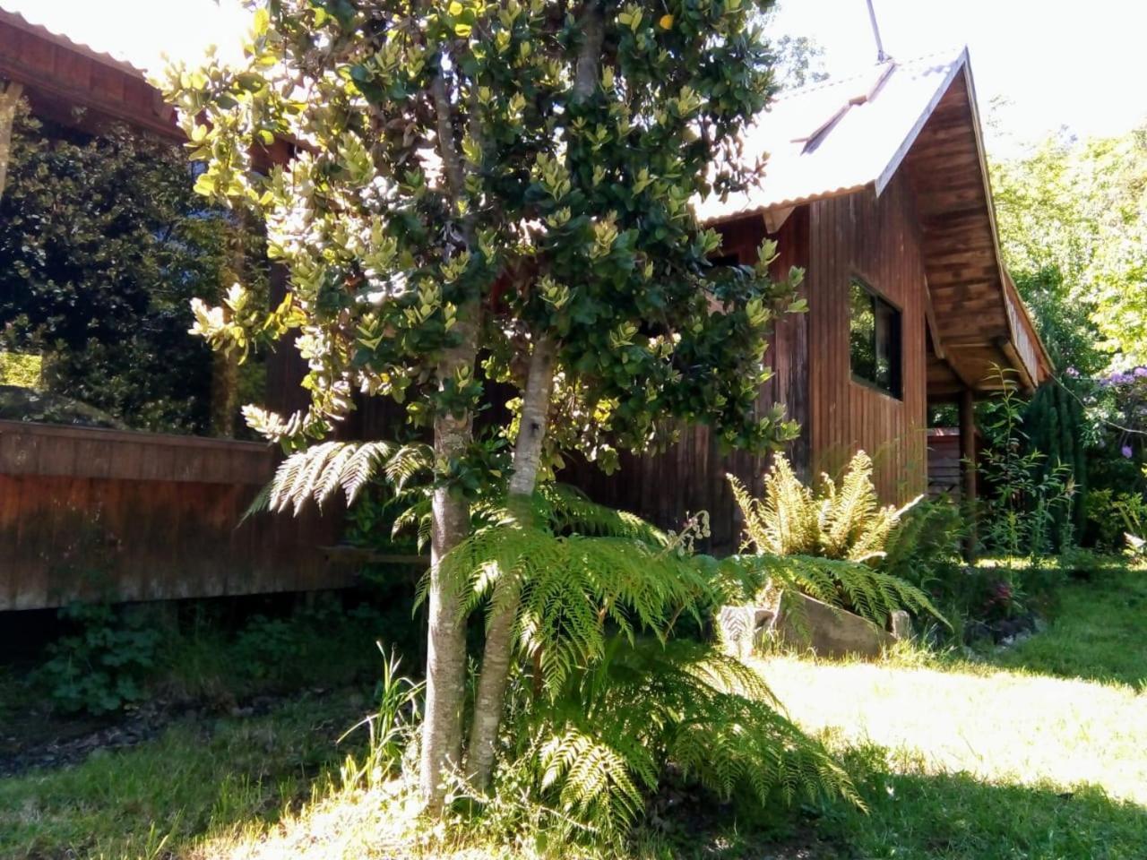 Cabanas El Cipres Pucón Exterior foto